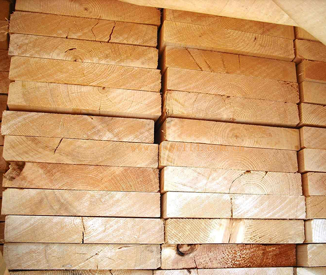 东至智利辐射松方木